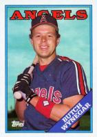 1988 Topps #737 Butch Wynegar Baseball Card
