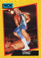 rare wcw cards Anyone into these? : r/WCW