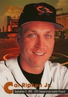 1995 Select Certified #2131 Cal Ripken Jr. Mirror Gold Baseball Card