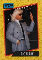 rare wcw cards Amazon.com: 1991 Impel WCW Wrestling #30 Sid Vicious Official World  Championship Wrestling Trading Card : Collectibles & Fine Art