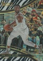 2017 Panini Select  #247 Dwyane Wade Zebra Prizm Basketball Card