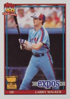 1991 Topps #339 Larry Walker Baseball Card