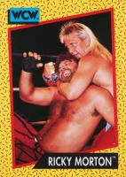 rare wcw cards Impel 1991 Trading Lex Luger No.17 Wrestling Cards Worldwide Unopened trading card boxes with packs bring hours of family entertainment Wrestling WCW rare uncut cards