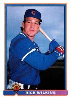 1991 Bowman #419 Rick Wilkins Baseball Card