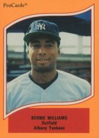 1990 Procards A & AA Minor League Stars #31 Bernie Williams Baseball Card