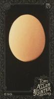 2019 Topps Allen & Ginter X #213 Egg Mini Baseball Card