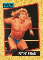 rare wcw cards World Championship Wrestling 1991 Impel Wrestling Trading Card Unopened Pack (CT-12) : Toys & Games This box is 19 years old and still in its original factory packaging 1991 Impel WCW - #40