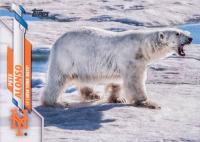 2020 Topps #350 Pete Alonso SSP-Polar Bear Baseball Card
