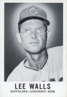 1960 Leaf #111 Lee Walls Baseball Card