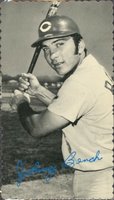 1974 Topps Deckle Edge #71 Johnny Bench Baseball Card