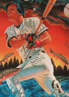 1995 Fleer Pro-Vision #5 Tim Salmon Baseball Card