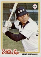 1978 Topps #231 Wayne Nordhagen Baseball Card