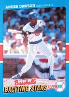 1988 Fleer Exciting Stars #13 Andre Dawson Baseball Card