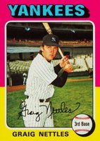 1975 Topps #160 Graig Nettles Baseball Card